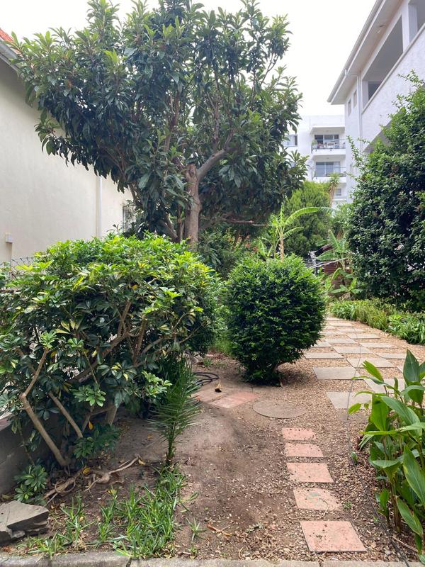 1 Bedroom Property for Sale in Green Point Western Cape
